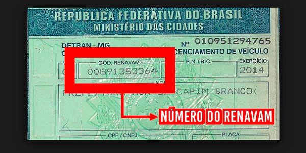 Como consultar o RENAVAM do seu carro em apenas alguns passos simples