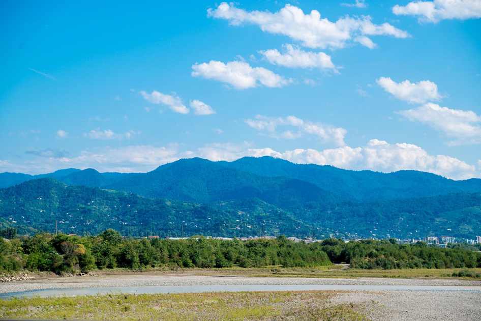 Guia Completo da Serra Circular: Encontre na Loja do Mecânico!