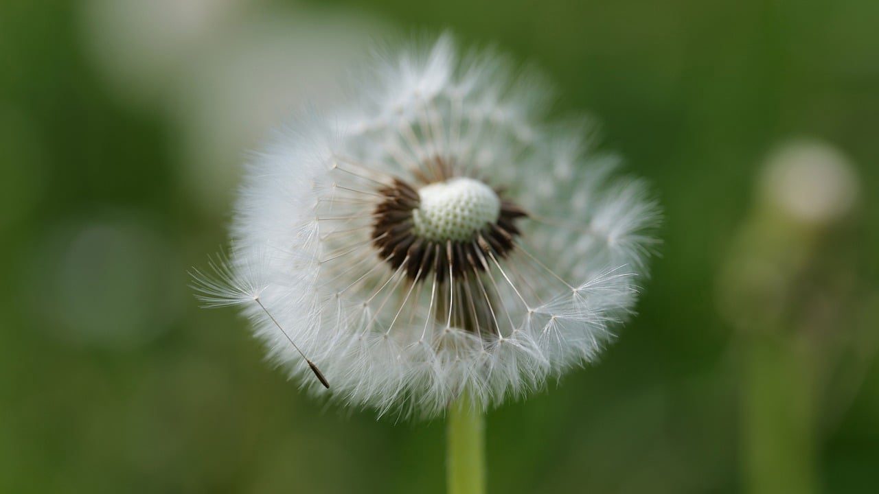Guia Completo sobre Medidas de Pneus para Carros: Tudo o que Você Precisa Saber